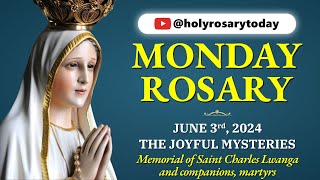 MONDAY HOLY ROSARY 💙 JUNE 3 2024 💙 THE JOYFUL MYSTERIES OF THE ROSARY [VIRTUAL] #holyrosarytoday