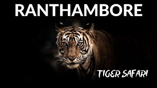 We FOUND wild BENGAL TIGERS in India 🇮🇳 | Ranthambore National Park