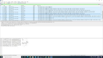 Multicast DNS Security