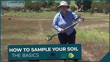 How to sample your soil – the basics