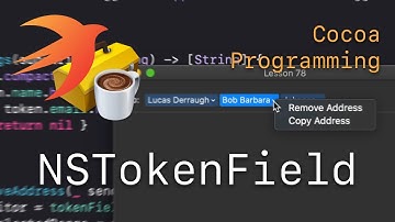 Cocoa Programming L78 - NSTokenField