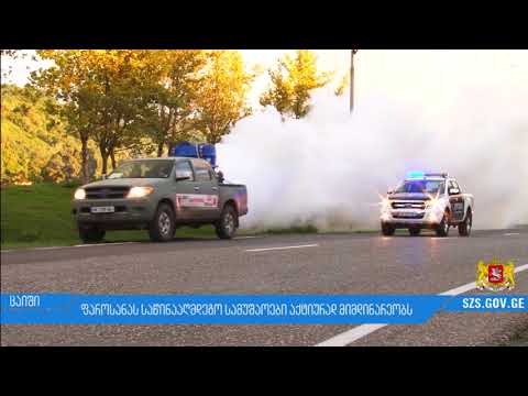 მასშტაბური ღონისძიებები,ზუგდიდის მუნიციპალიტეტში გრძელდება