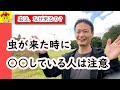 【自然栽培188】なぜ？虫がくるの？自然の摂理を理解し、虫、病気にならない作物を育てよう！！