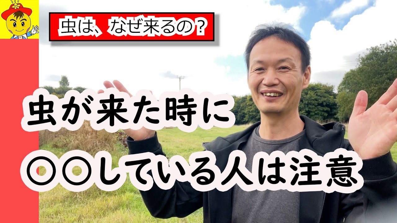 【自然栽培188】なぜ？虫がくるの？自然の摂理を理解し、虫、病気にならない作物を育てよう！！