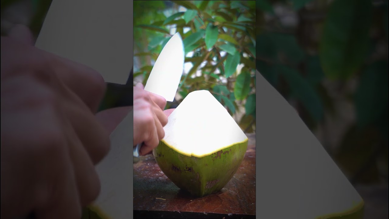 Fresh Coconut Water Making Process | grooh project