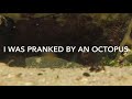 Cape Town Octopus Snorkelling | Octopus Steals GoPro and Uses it to Film | My Octopus Cameraman