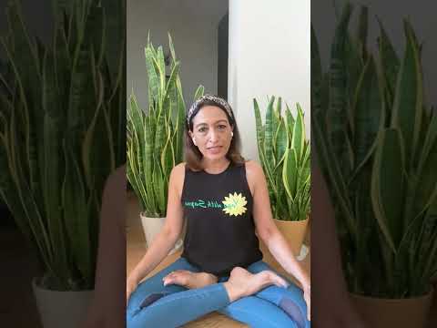 Yoga With Sapna Online Classes Intro