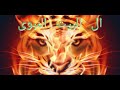 شبهات وردود حول النقاب