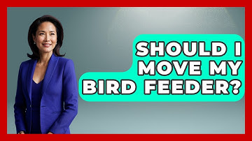 Should I Move My Bird Feeder? - Bird Watching Diaries