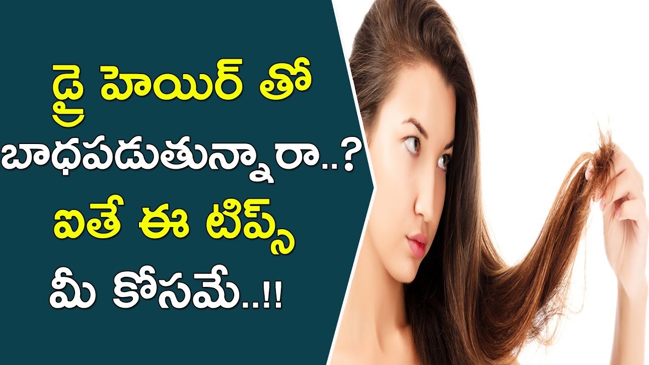 డ్రై హెయిర్ తో బాధపడుతున్నారా? ఐతే ఈ టిప్స్ మీ కోసమే | How To Get Rid Of Dry Hair With Home Remedies beautycon