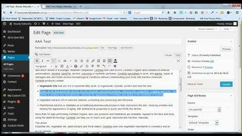Updating Your Wordpress Pages Using WYSIWYG Editor