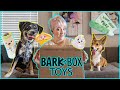 I Got my Crazy Dogs New Toys and it was CHAOS [DogVlog]