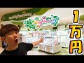 First Visit I M Going To Play The 10 000 Yen Crane Game At Molly Fantasy Spy Family Uma Musume First Visit I M Going To Play The 10 000 Yen Crane Game At Molly Fantasy Spy Family Uma Musume