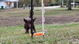 4 2B Lining Drill FB Clip
