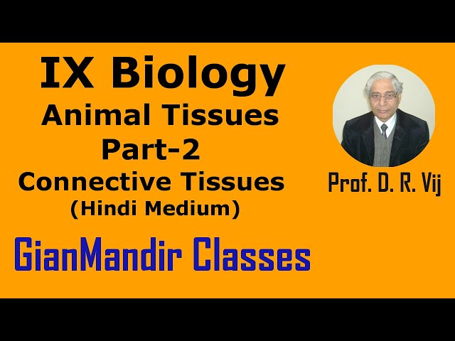 IX Biology | Animal Tissues Part-2 | Connective Tissues (Hindi Medium) by Ruchi Ma'am