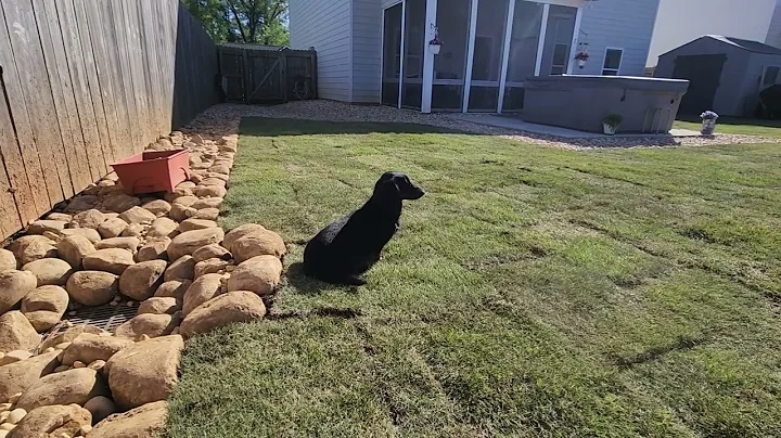 How To STOP Water From Neighbor! Try this Amazing Design By Brooks Landscaping | River Rock | Drain