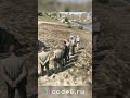 2 part | САМЫЙ дорогой брифинг в истории округа