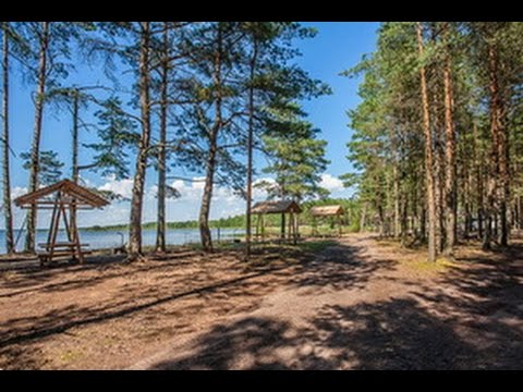 Кемпинг Клевое место - территория и природа, Отдых в Беларуси