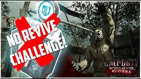 NO REVIVE - SHI NO NUMA 3-PLAYER WORLD RECORD HOLDERS! | Call Of Duty WaW Zombies!