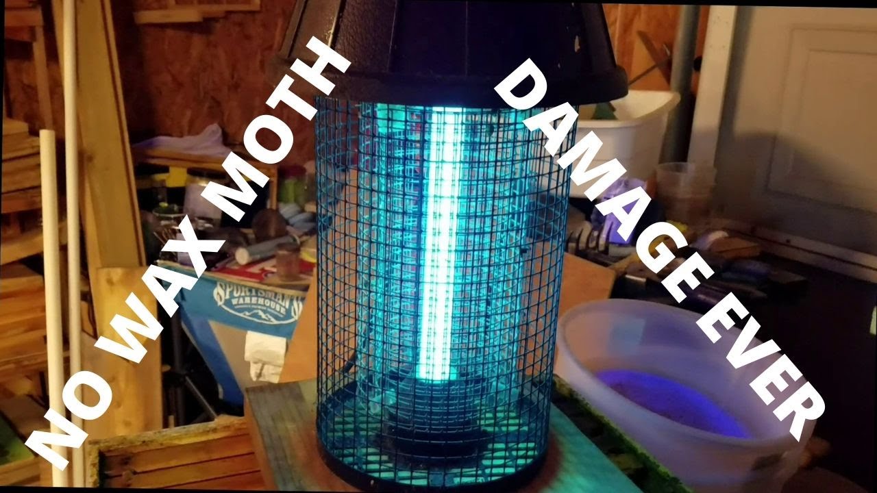 How To Keep the Wax Moths out of Your Stored Drawn Comb! YouTube