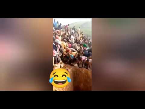 Abanye Congo Bavumbuye Umusozi Wuzuye Zahabu