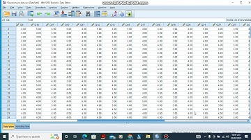 How to transform large data to smaller Factors in SPSS in 4 minutes...