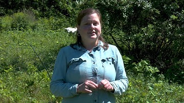 BOTL Farm Fencing Series Part 2 of 9 - Build a Fence to Complement Your Rotational Grazing System