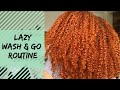 Lazy Wash and Go Routine | Quick and Easy + Defined Curls