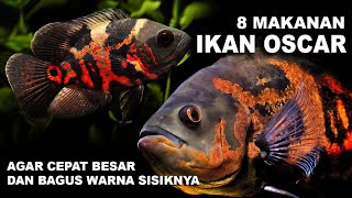 8 Makanan Ikan Oscar, Agar Cepat Besar dan Bagus Warna Sisiknya
