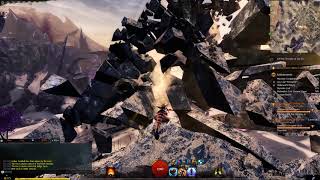 Guild Wars 2 Skyscale Lost Collection - 16 Maculate Fringe