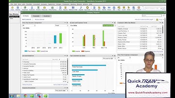 Introduction to the QuickBooks Company Snapshot