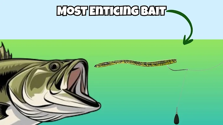 How to Fish a Drop Shot 101