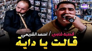 Ahmed Chrai3i_Studio ElAfrah© ( قالت يا داية ) أحمد الشريعي مع القصاب منور لكامورا قصبة شاوي