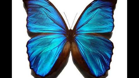 Journal of Computational Biology | Wikipedia audio article