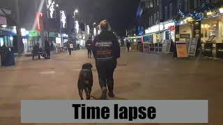 Aggressive Rottweiler Rehab | Off-Leash K9 Training London