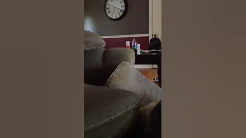 Torie couch diving