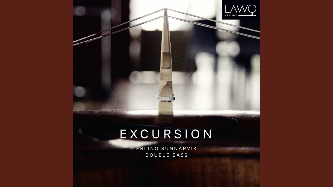 在 YouTube 上觀看「Solo Quartet No. 2 for double bass, violin, viola and cello, I. Allegro moderato」