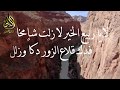 رائع قصيدة في الذب عن الشيخ العلامة ربيع المدخلي حفظه الله