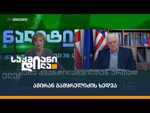 ამირან გამყრელიძის ხედვა