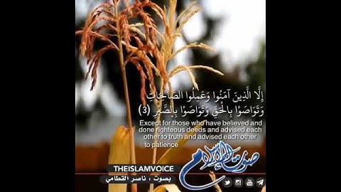 سورة العصر ناصر القطامي