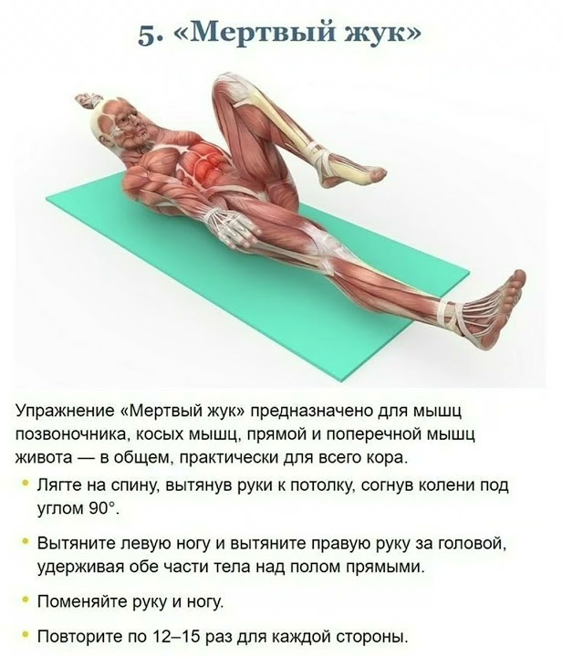 Упражнение Мертвый Жук #здоровье #польза #рекамендация #рекомендации ...