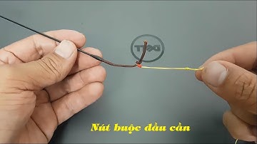 Hướng dẫn cách buộc nút thắt đầu cần- How To Tie Fishing Pole Knot