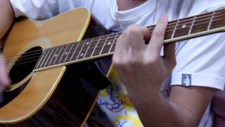someday we'll know-cover