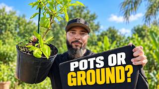 Growing in Pots vs. In the Ground: What I’d Choose