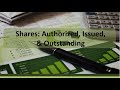Stockholders' Equity: Authorized, Issued & Outstanding Shares of Stock