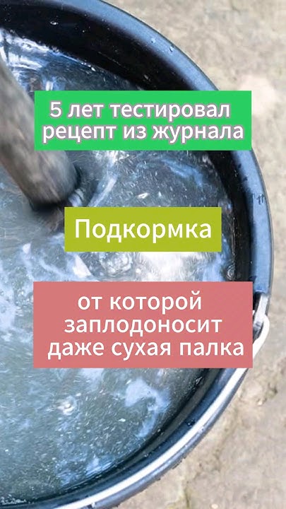 Эта простая подкормка станет самой любимой. #сад #огород #дача# ...