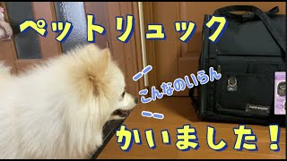 【ポメラニアン】主念願のペットリュックを購入したら、やっぱりこうなりましたw