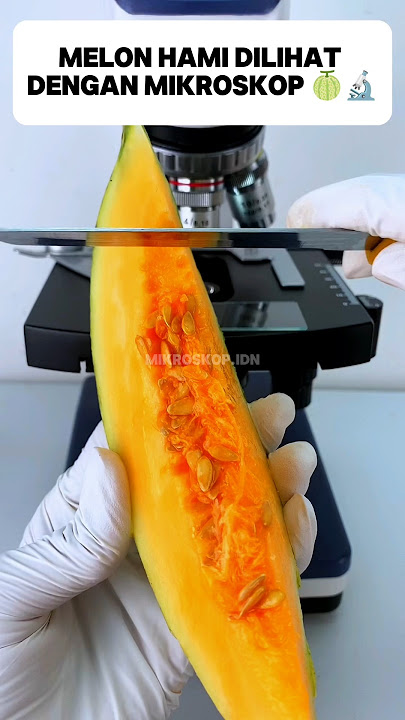 Melon hami dilihat dari mikroskop 🍈🔬😱#shorts #mikroskop #edukasi #melon #buah