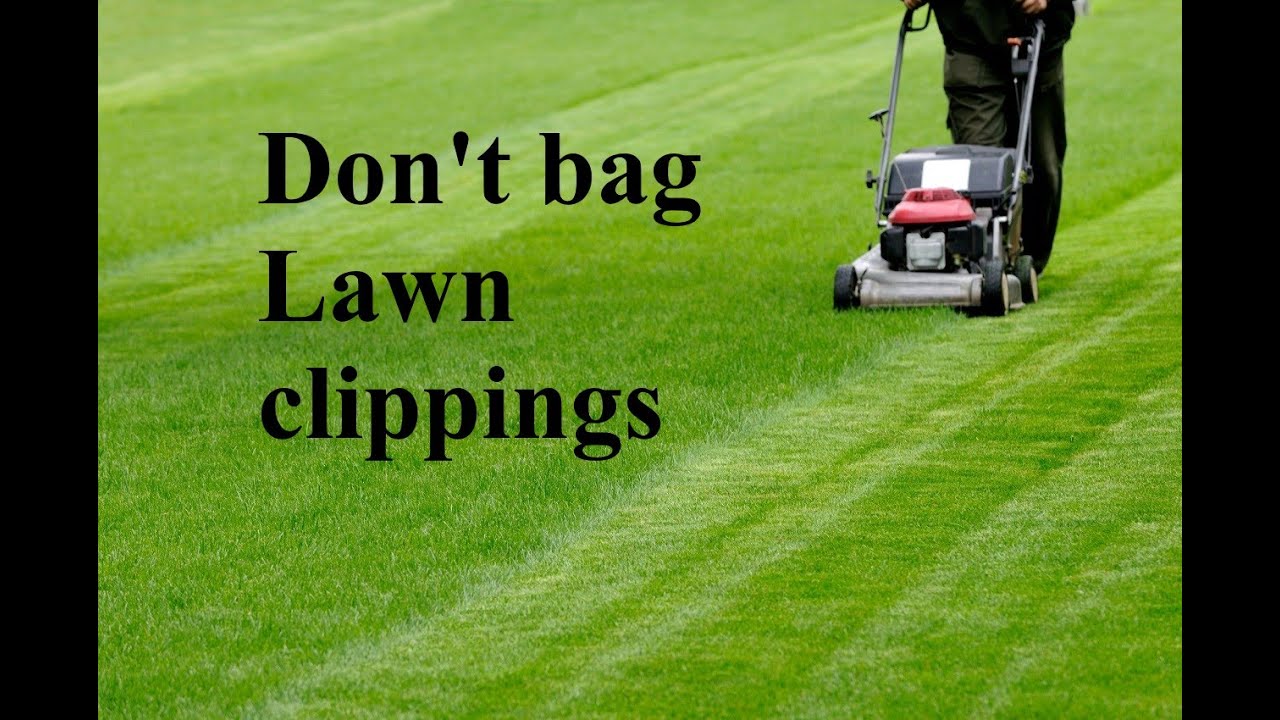 bagging lawn clippings