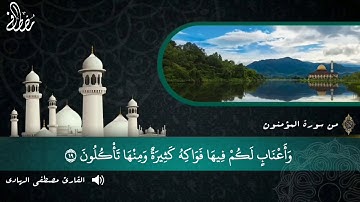 ارح قلبك | ما تيسر من سورة المؤمنون | القارئ مصطفى الهادي